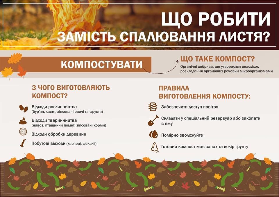 Штрафы и тюрьма. Что грозит украинцам за сжигание листья и травы